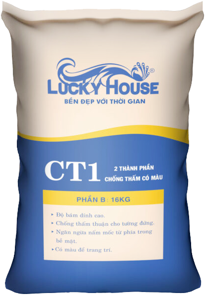 CT1-500x650-1