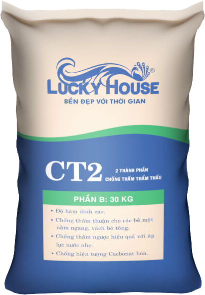CT2B-500x650-1